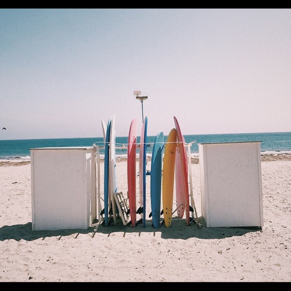 Meet your Posher, Wendy